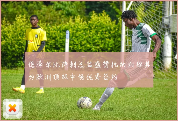 德泽尔比热刺总监盛赞托纳利称其为欧洲顶级中场优秀签约