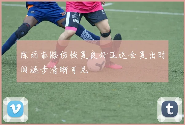 陈雨菲膝伤恢复良好亚运会复出时间逐步清晰可见